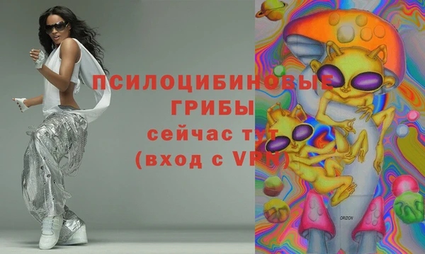 прущий лед Арсеньев