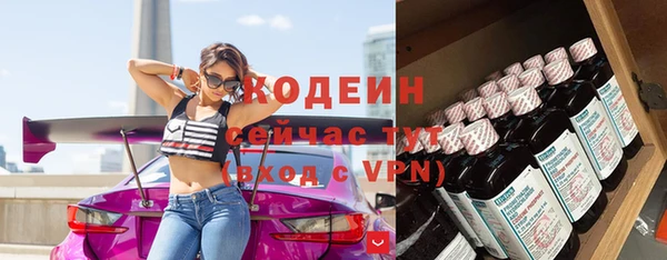 прущий лед Арсеньев