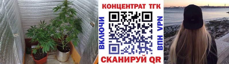 Дистиллят ТГК гашишное масло сколько стоит Томск