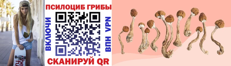Галлюциногенные грибы прущие грибы blacksprut tor Томск